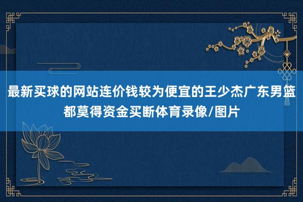 最新买球的网站连价钱较为便宜的王少杰广东男篮都莫得资金买断体育录像/图片