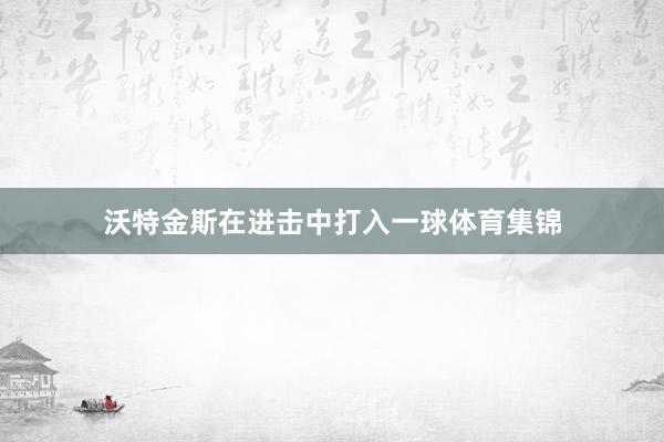 沃特金斯在进击中打入一球体育集锦