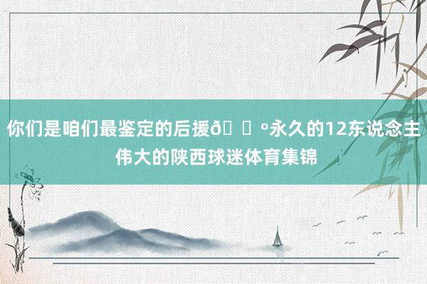 你们是咱们最鉴定的后援🐺永久的12东说念主 伟大的陕西球迷体育集锦