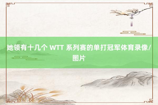 她领有十几个 WTT 系列赛的单打冠军体育录像/图片