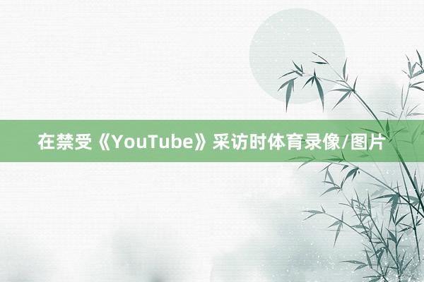 在禁受《YouTube》采访时体育录像/图片