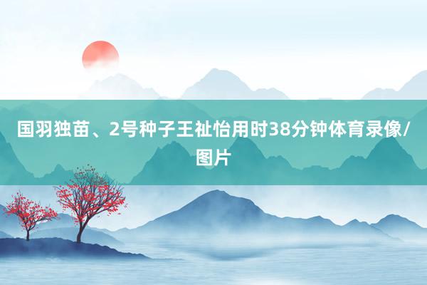 国羽独苗、2号种子王祉怡用时38分钟体育录像/图片